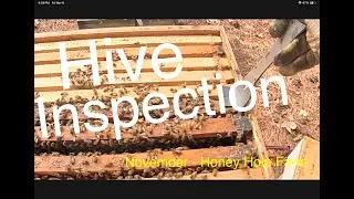 Beekeeping:  Fall Brood