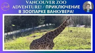 Vancouver Zoo Adventure! / Приключение в зоопарке Ванкувера!