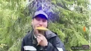 Я грибабас гроза грибов