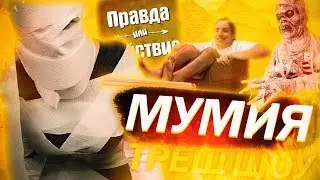 ТРЕШ ШОУ MODESTAL: ПРАВДА ИЛИ ДЕЙСТВИЕ