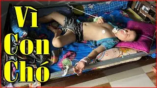 🔴Chỉ vì con CHÓ gây ra BI KỊCH thảm thương cho 1 gia đình Trẻ