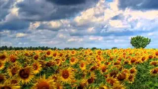 Sviatoslav Richter - Beethoven Sonata op.110 (1974)