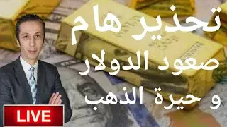 صعود الدولار و حيرة الذهب