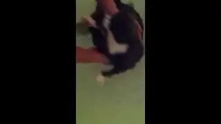 Купание кота ЖЕСТЬ смотреть всем