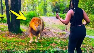 Leo reunites with his caretaker after 8 years. His reaction will shock you!
