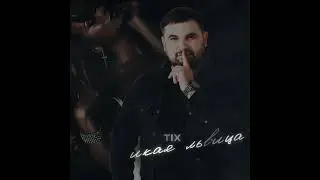 ARTIX-Дикая львица
