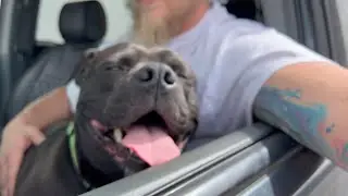 Andy Savage VLOG Episode 2 - Estes Park (TRAVELING, Beach Workout & Sunset Boat Ride)