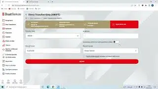 Transferring Dollars from Ziraat Bank with IBAN