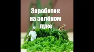 Заработок на зелёном луке