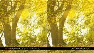 Real Particles Bundle 3 (Lazy Particles) - Motion Graphics