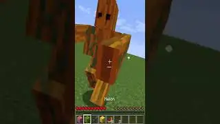 #minecraftshorts #short (1)