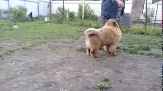 VID 20170601 0944341