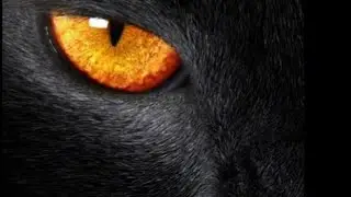 INEXPLICABLE 😱 Los ojos de la pantera