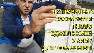 Як правильно сформувати гніздо бджолосімей у зиму для 100% зимівлі