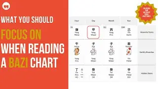 Part 3 - What you should focus on when reading a Bazi Chart -Unlock Secrets of Your BaziChart series