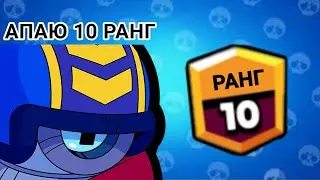 АПАЮ 10 РАНГ НА СТУ!!!
