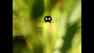 07 Катапульт