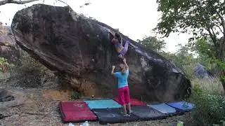 THE LAND BEFORE TIME V7, 7a+