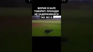 Иди своей дорогой сталкер
