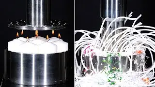 Satisfying Hydraulic Press Moments 🤩 WORM EDITION 🤩