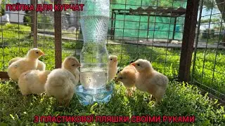 ПОЇЛКА ДЛЯ КУРЧАТ З ПЛАСТИКОВОЇ ПЛЯШКИ СВОЇМИ РУКАМИ