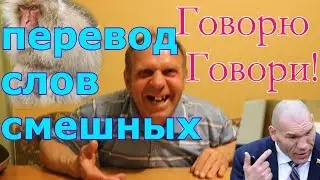 Попросили Українця перекласти з Руського . Комедія  !!!