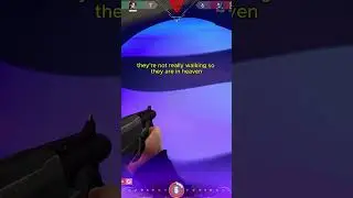 BEST SAGE WALL POST PLANT BIND 