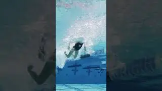 Fast Butterfly Swimming Technique #theraceclub #swimming #swimtechnique #swimmingcoach #swim