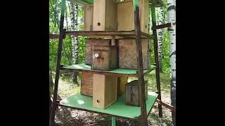 Роевая мачта Соколова