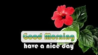 blooming flowers good morning wishes whatsapp video