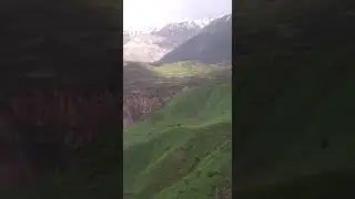 тамошо кун дамбги лайка бшап