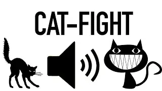 Cat Fight Sound Effect ( HD ) No Copyright
