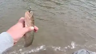 ОКУНЬ и ЩУКА НА МИКРОДЖИГ!