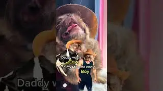 My dad was a cow Mom was a boy (carter Vail) 