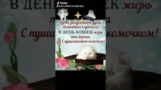 Позитивчик. С ДНЁМ КОШЕК!