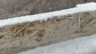 арболит, опилкобетон. заливаем армопояс. Новомосковск.