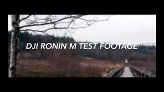 NATURE || SONY A6300 x DJI RONIN M (4K)