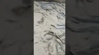 fish #fish