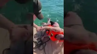 Герман Ягодка перепутал яхту 