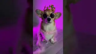 Friday: DAY/ NIGHT