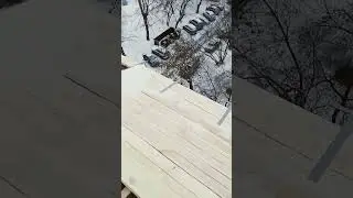 20 ноября 2023 г.