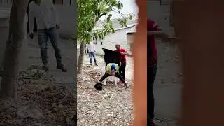 El mago desesperado