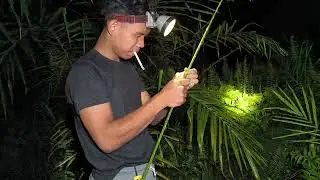 Nekat Mancing Lele Saat Bulan Purnama - Mancing Lele Malam Minggu