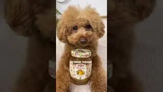 Груша в рекламе грушевого конфитюра