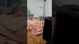 Два джина приняли Ислам и вышли.