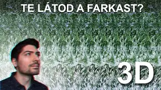 Sztereogramok - a 3D-s képek világa