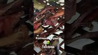 Копченая крыса ШОК 😮