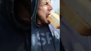 25 мая 2024 г.