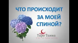 ЧТО ПРОИСХОДИТ ЗА ВАШЕЙ СПИНОЙ. КАК ЭТО БУДЕТ СКАЗЫВАТЬСЯ НА ВАС.