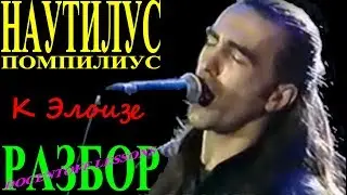 Наутилус Помпилиус — «К Элоизе» | Разбор на гитаре: аккорды и бой